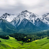 一生无悔80570921头像