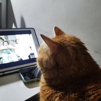 运营这点事儿头像