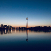 困就滚去睡的个人资料头像