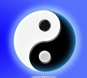 奥义前端的个人资料头像