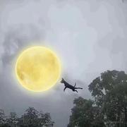 Fire重名了的个人资料头像