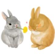 Excitingcodeman的个人资料头像