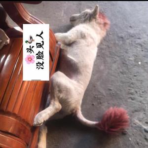 大侠刀影头像