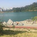 wangya的个人资料头像