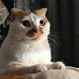 用户8221100679267头像