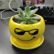 Panda_Man的个人资料头像