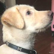 小白心里爽的个人资料头像