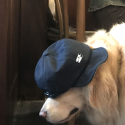 FinchLin的个人资料头像