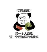 逆天小白杨的个人资料头像
