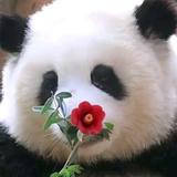 一樊风顺716头像