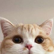 用户4779981141368的个人资料头像