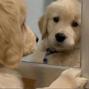 给喆打钱的个人资料头像