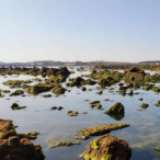 小渔人爱赶海头像