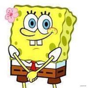 嘘的个人资料头像