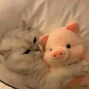 TenTwo的个人资料头像