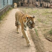 共觅河山路123头像