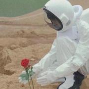 PurPle的个人资料头像