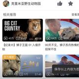 千与千寻201314头像