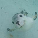 2heal的个人资料头像