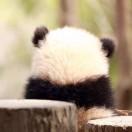 Heysoo的个人资料头像