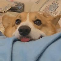 用户9519774356987头像