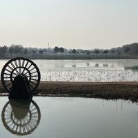 大漠红马浦东头像