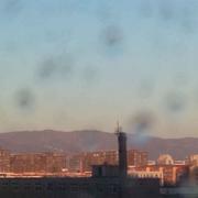 三娃的个人资料头像