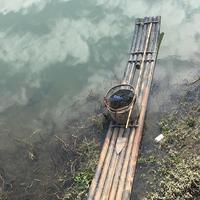 智者原野qD头像