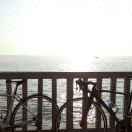 杭州小笼包的个人资料头像