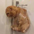 小龙爱学习108022的个人资料头像