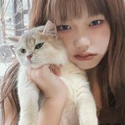 养养的个人资料头像