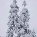 千山暮雪♪♪头像