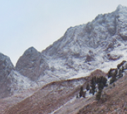 袁亚雄的个人资料头像