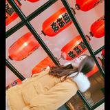 谢家小洛汐头像