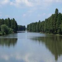 高杉流水八八八八头像