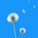 爱生活酱的个人资料头像