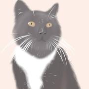 用户9763671921805的个人资料头像