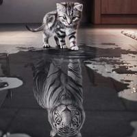 番茄2251439163841198头像