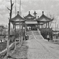 扬大老油条头像