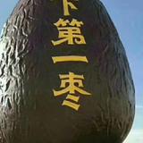 强子19900326头像
