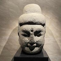 鲁快乐的饼干头像