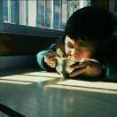 认真胖的个人资料头像