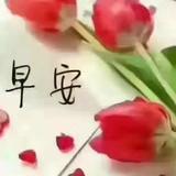 踏雪无痕DD头像