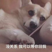 AREYOULOST的个人资料头像