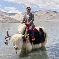 雷石大健康科技头像