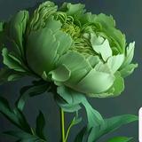 白老大说车头像