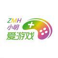 ZMH小明爱游戏头像