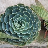 用户5111909106326头像