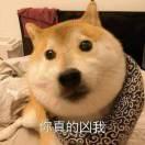 去月球君的个人资料头像