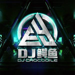 DJ鳄鱼Remix头像